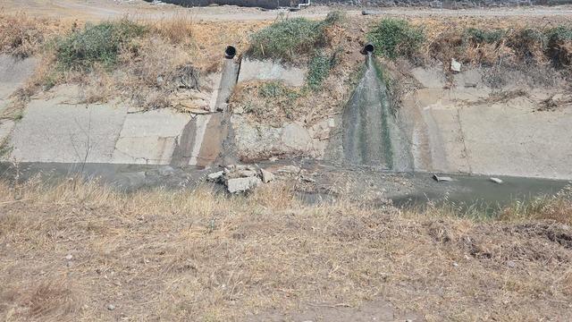 Çevreyi kirleten işletme hakkında yasal işlem başlatıldı