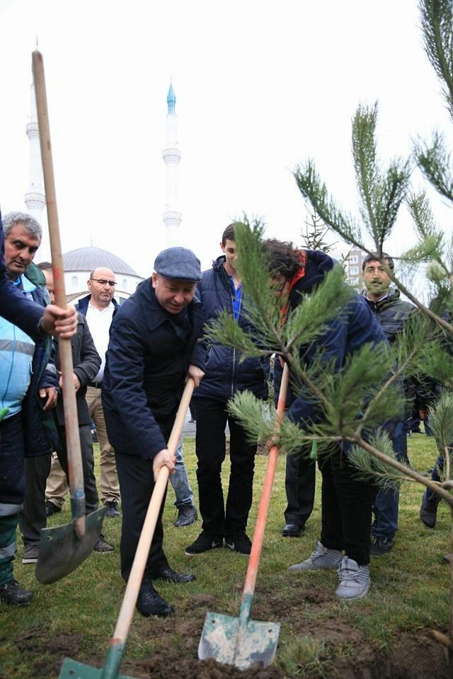 Başkan Çolakbayrakdar, tıp bayramını fidanlarla taçlandırdı