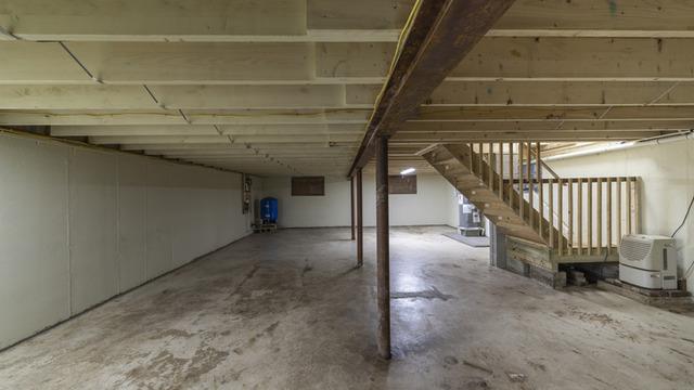 300 kiloluk sürpriz! Evinin bodrumundan sesler geldi, inince hayatının şokunu yaşadı