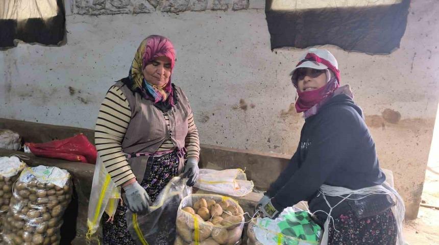 Hasadı biten patateste depolama s&uuml;reci başladı