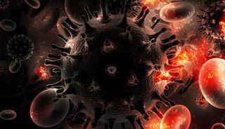 Vakalarında Türkiye’de ciddi artış! İşte yanlış bilinenler...