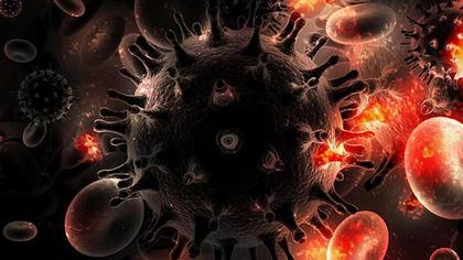 Vakalarda Türkiye’de ciddi artış! Uzman isim yanlış bilinenleri tek tek açıkladı