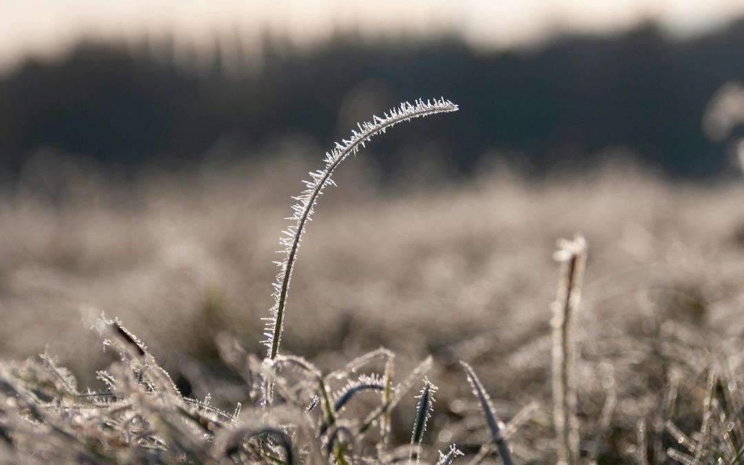 Bakan duyurdu: Üreticilere 4,2 milyar liralık hasar tazminatı ödendi 1