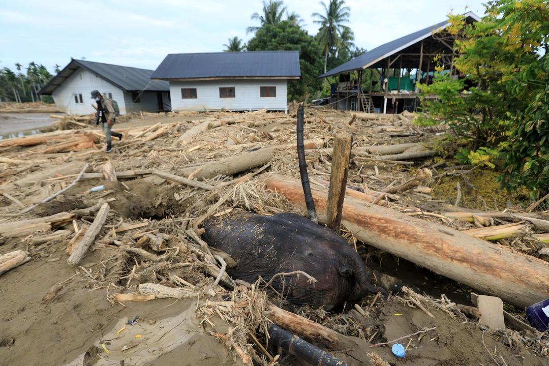 Güney Asya Atlantis e döndü! "Tarihi kriz" sayısız can aldı: Milyonlarca insanı etkiledi 8