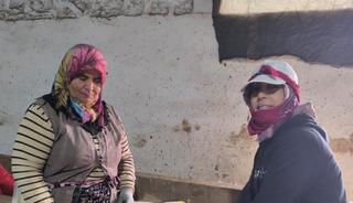 Hasat tamamlandı! Kilosu 15 TL, Kışın tüketilecek