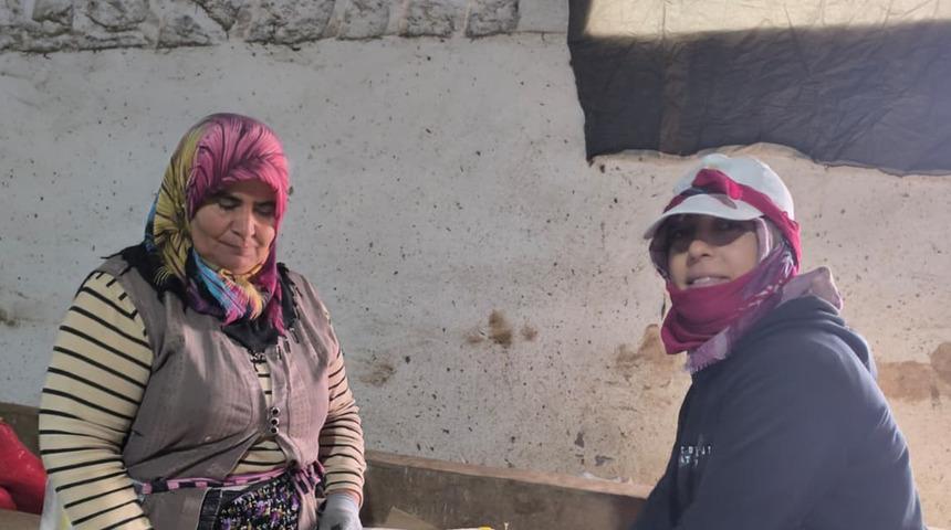 Hasat tamamlandı! Kilosu 15 TL, Kışın tüketilecek