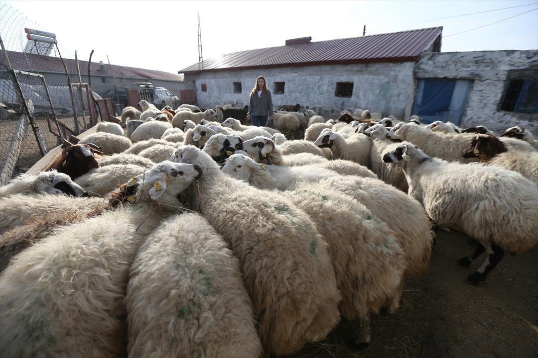 İstanbul daki kariyerini bırakıp Kars a döndü! 3 yılda 4 e katladı: "Umduğumdan daha rahat" 2
