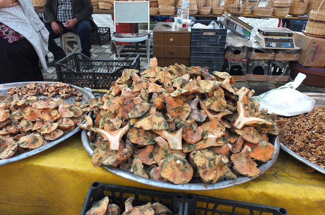 Dağlardan fışkırdı, o ilçenin geçim kaynağı oldu: Kilosu 100 TL ye düştü 4