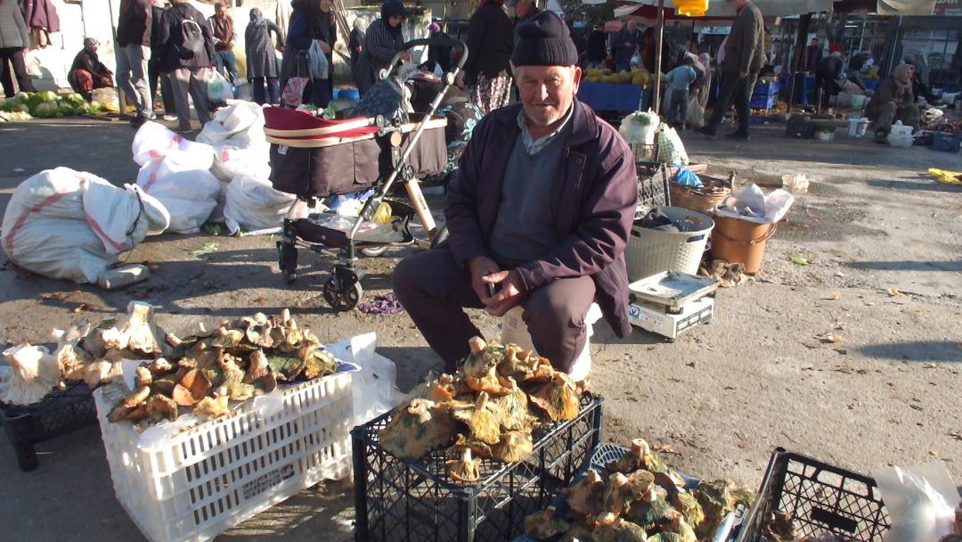Dağlardan fışkırdı, o ilçenin geçim kaynağı oldu: Kilosu 100 TL ye düştü 3