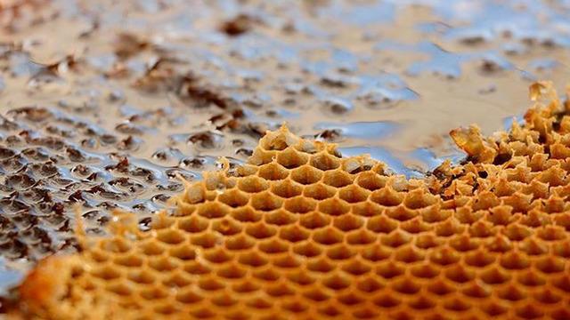 Gıdada bir skandal daha! Taklit-tağşiş listesine 3 yeni &uuml;r&uuml;n eklendi
