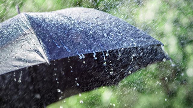 Yağmur kokusunun sebebi nedir?