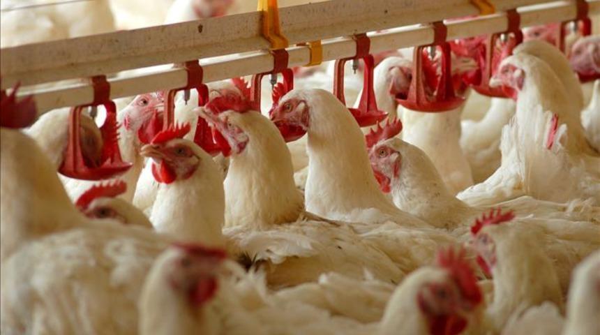 Sektör devi şirket mali darboğazda! Konkordato ilan etti