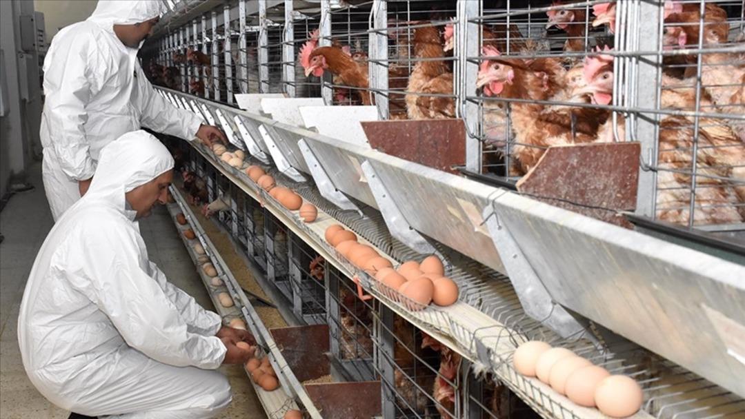 Sektör devi şirket mali darboğazda! Konkordato ilan etti 1