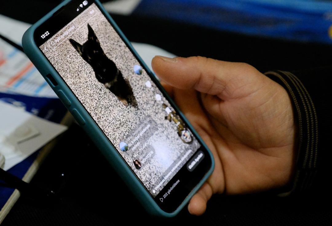 Her 10 gençten 1 inde görülüyor! Uzman isimden çarpıcı açıklama: "Beyinleri çürüyor" 4