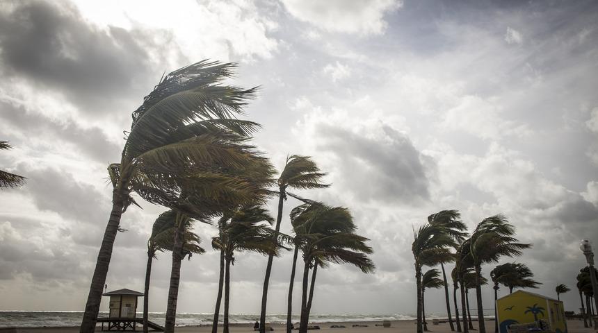 Rüzgarın sesi aslında nedir?