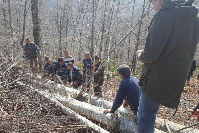 Akçakoca’da üretim çalışmaları kontrol edildi