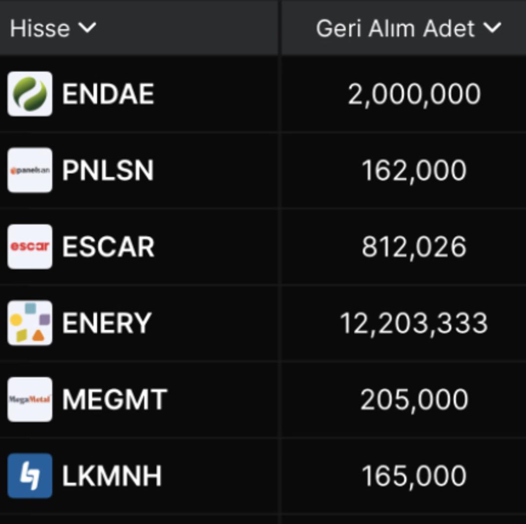 Son Bir Haftada Geri Alım Yapan Şirketler 1