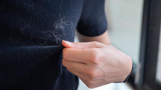 Yün kazaklar neden saçları elektriklendirir? Sebebi nedir?