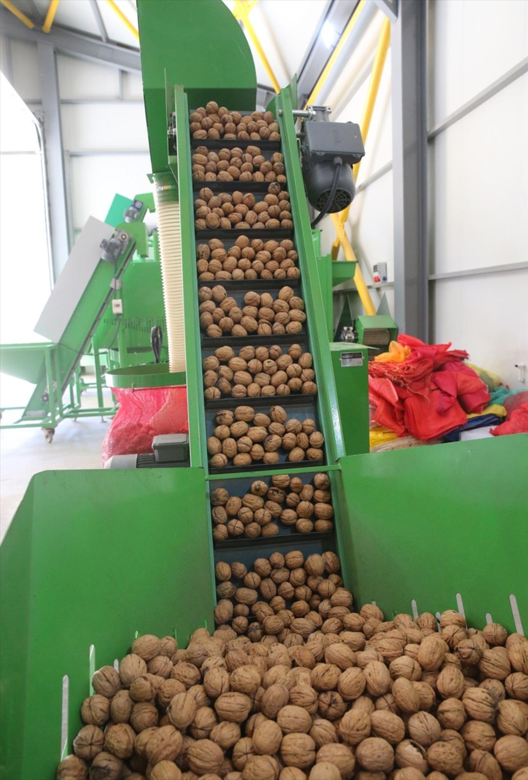 2021 de başvurdu, 4,5 milyon TL çıktı! Tesis kurdu: 20 ile satıyor 1