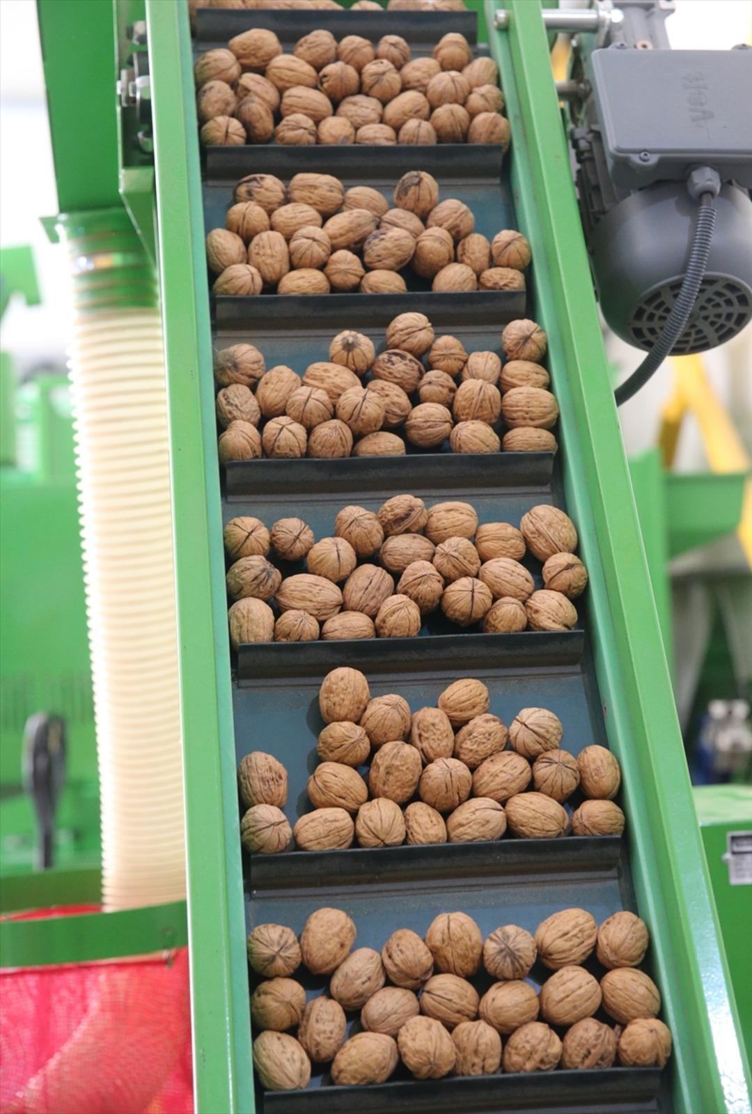 2021 de başvurdu, 4,5 milyon TL çıktı! Tesis kurdu: 20 ile satıyor 2