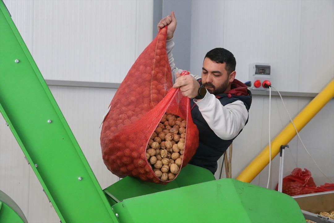 2021 de başvurdu, 4,5 milyon TL çıktı! Tesis kurdu: 20 ile satıyor 3