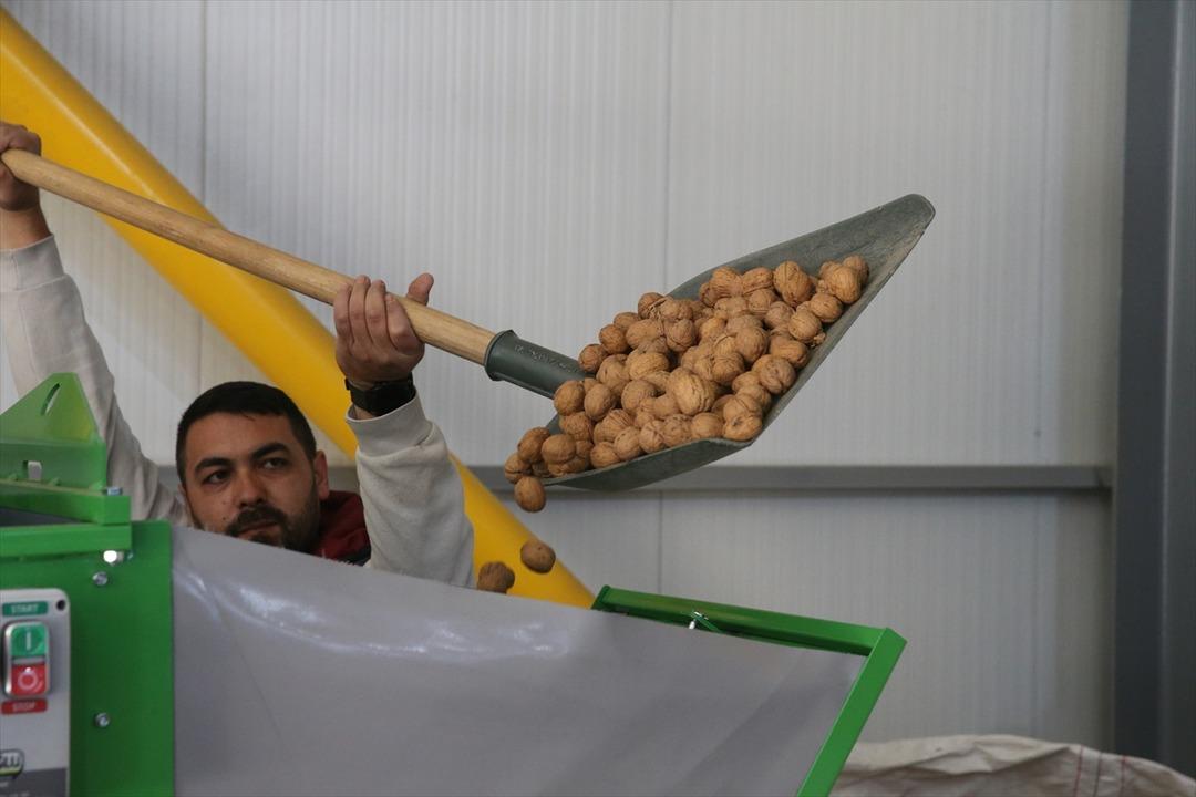 2021 de başvurdu, 4,5 milyon TL çıktı! Tesis kurdu: 20 ile satıyor 5