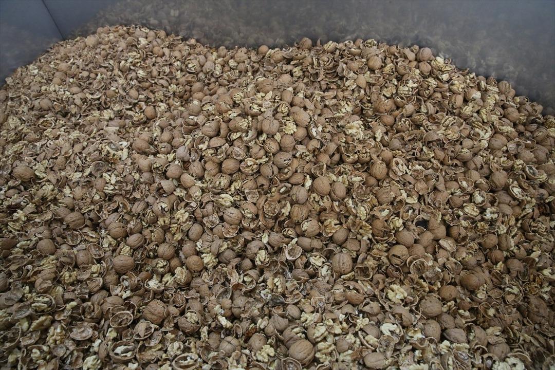 2021 de başvurdu, 4,5 milyon TL çıktı! Tesis kurdu: 20 ile satıyor 7