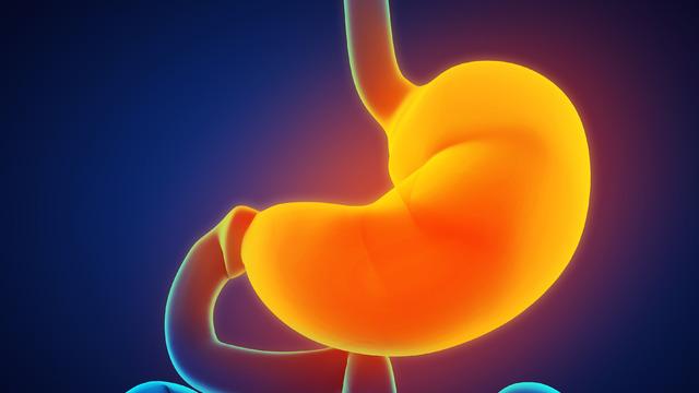 Mide asidi neden mideyi yakmaz? Sebebi nedir?