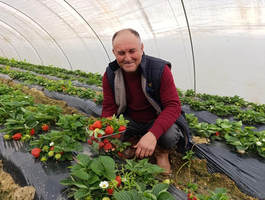 Cebimiz para görüyor Yoğun talep var: Her mevsim aranır oldu 5