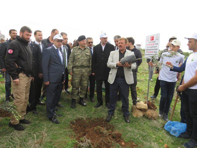 Midyat'ta Afrin şehitleri için bin fidan dikildi