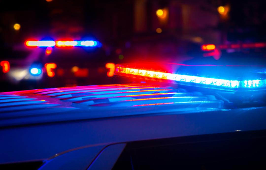 Kan donduran cinayet!  Güzellik kompleksi  yüzünden çocukları öldürdü 2