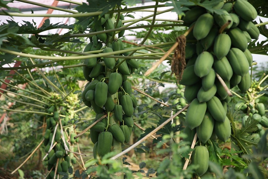 Önceden bu ne diye soruluyordu, şimdi: Talebi karşılamaya çalışıyoruz 2