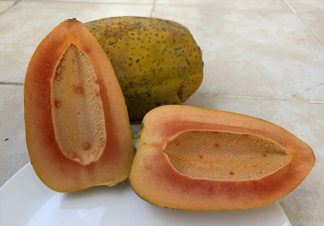 Önceden bu ne diye soruluyordu, şimdi: Talebi karşılamaya çalışıyoruz 6