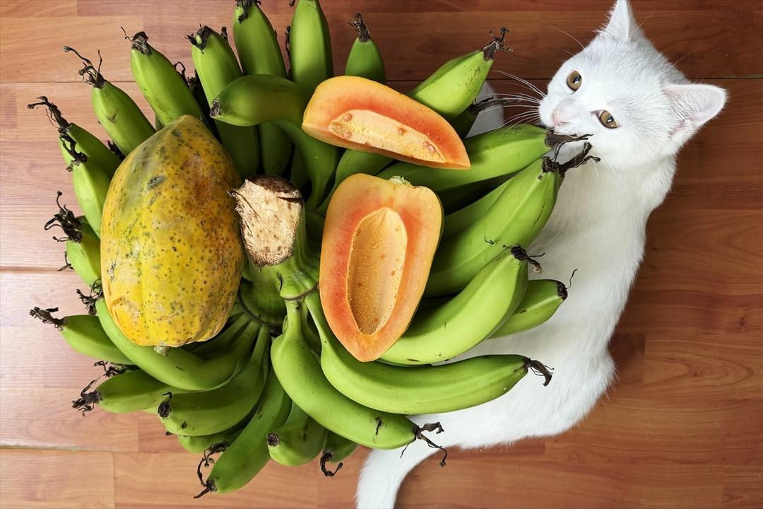 Önceden bu ne diye soruluyordu, şimdi: Talebi karşılamaya çalışıyoruz 7