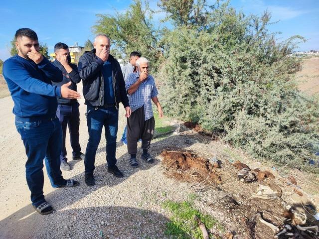 Adana'dan iğrenç görüntüler! Vatandaş koku ve hastalıktan isyan etti: 'Bize bunu yediriyorlar'