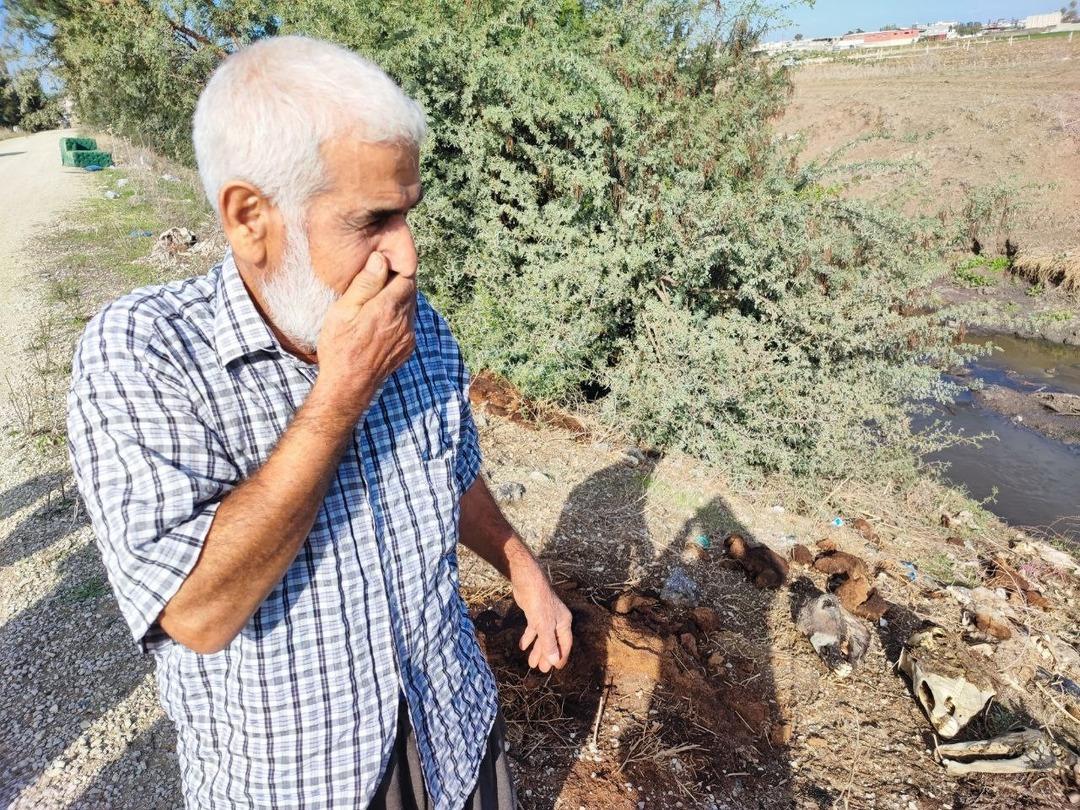Adana dan iğrenç görüntüler! Vatandaş koku ve hastalıktan isyan etti:  Bize bunu yediriyorlar  2