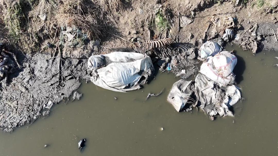 Adana dan iğrenç görüntüler! Vatandaş koku ve hastalıktan isyan etti:  Bize bunu yediriyorlar  6