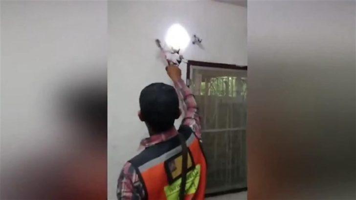 Duvardan çıkan şoke etti  G1