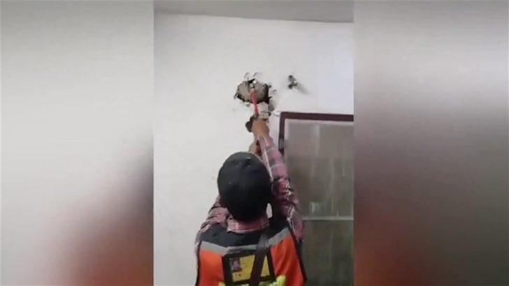 Duvardan çıkan şoke etti  G3