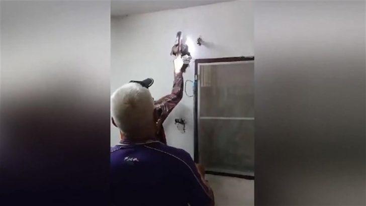 Duvardan çıkan şoke etti  G4