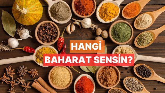 Sen insanlara nasıl bir baharat gibi hissettiriyorsun? 