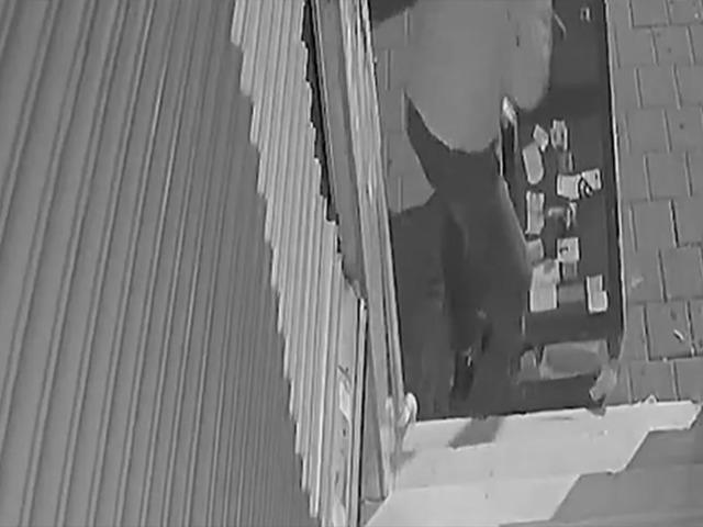 Fatih’te 4 dakikalık soygun: 200 kiloluk çelik kasayı böyle götürdüler