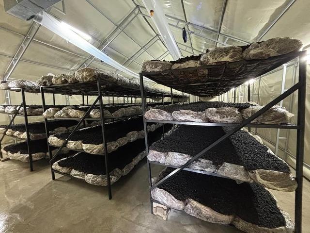 İlçenin ekonomisine yeni soluk