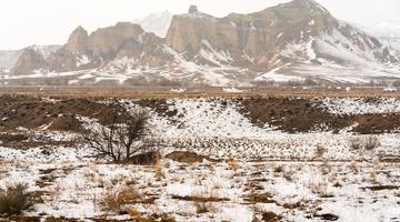 Uzman isimden korkutan kış senaryosu: Sıcak ve kurak geçecek!