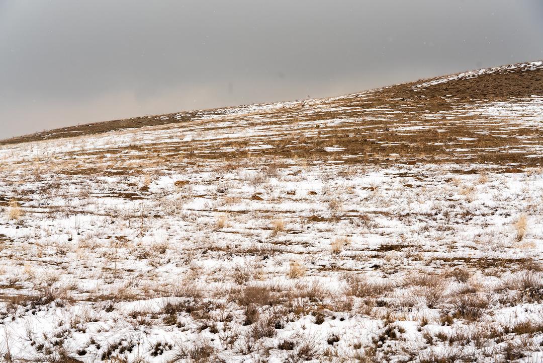 Uzman isimden korkutan kış senaryosu: Sıcak ve kurak geçecek! 1