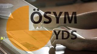 YDS/2 sonuçları açıklandı: Sonuç ekranı