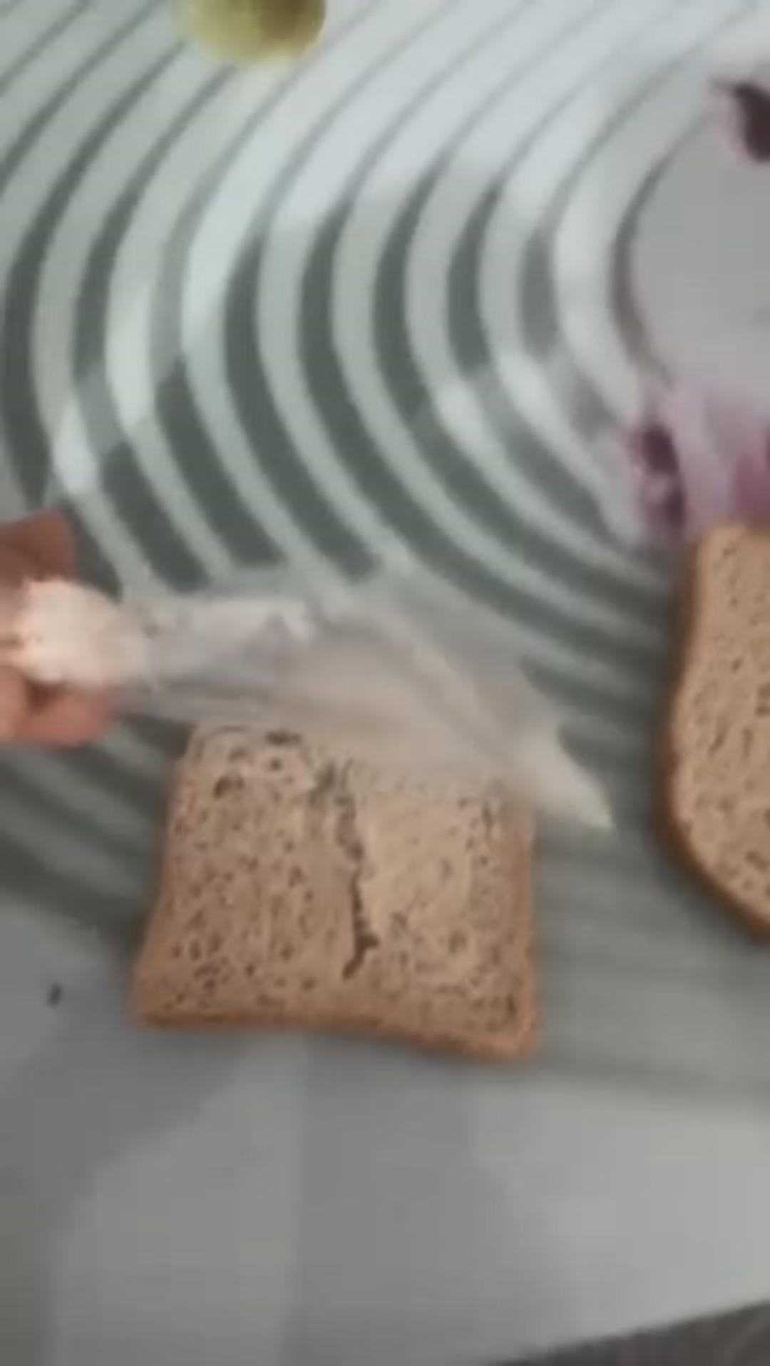 Ekmekten çıktı, çektikçe uzadı! Şaşkına uğratan görüntü 1