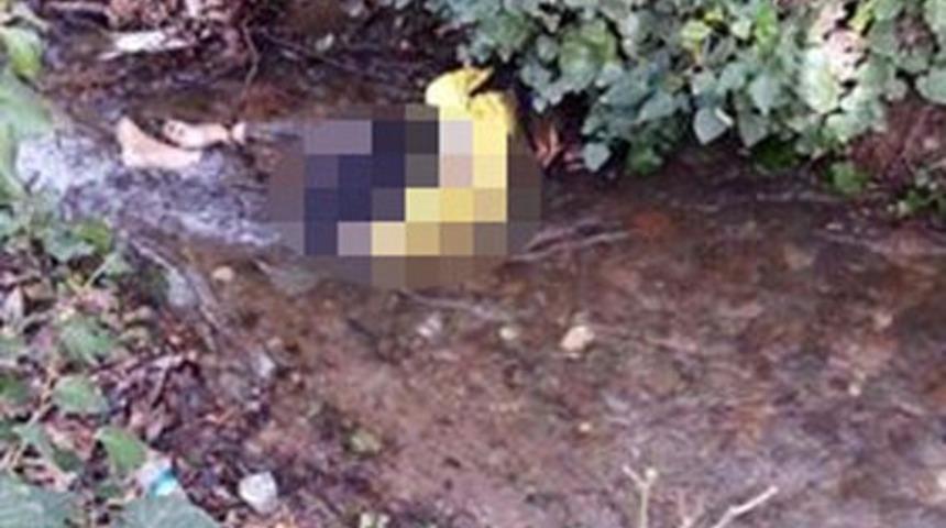 3 gündür kayıp olan kadından acı haber