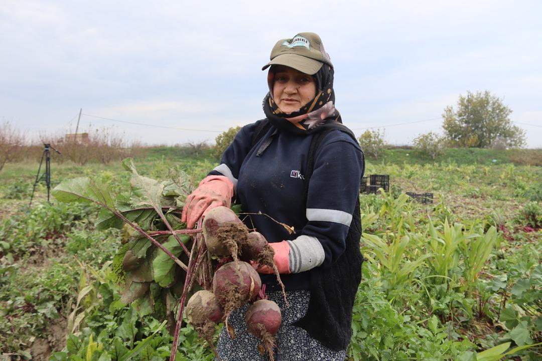 Tarlada 10 TL , tezgahta 40 TL! ‘Kırmızı elmas  hasadı: İzmir den tüm Türkiye ye dağıtılıyor! 2