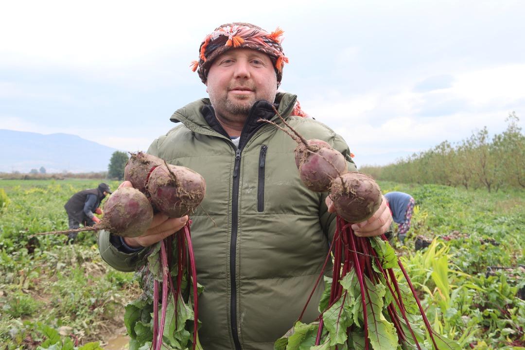 Tarlada 10 TL , tezgahta 40 TL! ‘Kırmızı elmas  hasadı: İzmir den tüm Türkiye ye dağıtılıyor! 9